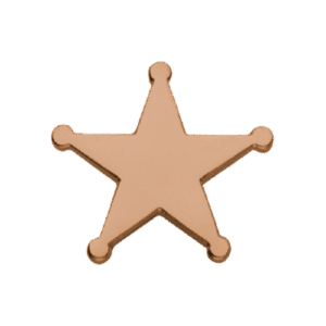 E1090 Bronze ‘Sheriff Star’ enamel badge