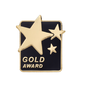 E1218 GOLD AWARD badge (pack of 5)