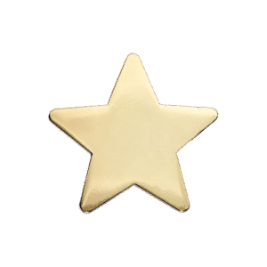 E141 Gold Polished Star badge (pack of 5)