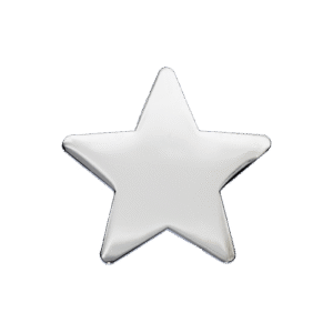 E142 Silver Polished Star badge (pack of 5)