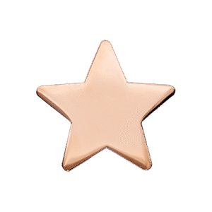 E143 Bronze Polished Star badge (pack of 5)