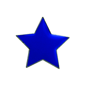 E37 Blue Star badge (pack of 5)