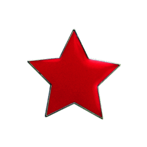 E38 Red Star badge (pack of 5)