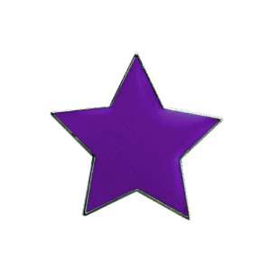 E400 Purple Star badge (pack of 5)