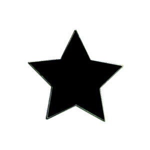 E402 Black Star badge (pack of 5)