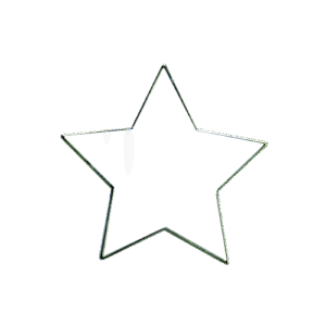 E403 White Star badge (pack of 5)