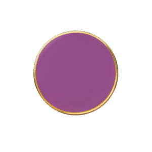 E404 Purple Circle badge (pack of 5)
