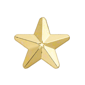 E544 Gold 3D Star badge (pack of 5)