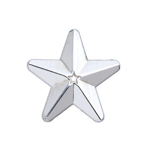 E545 Silver 3D Star badge (pack of 5)