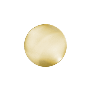 E583 Gold Circle badge (pack of 5)