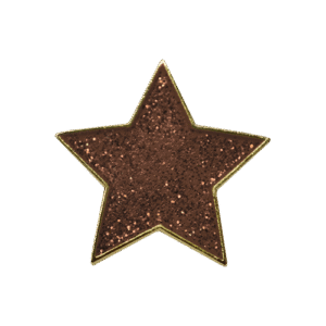 E739 Bronze glitter star enamel badge (Pack of 5)