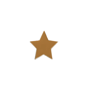E756 Tiny Bronze Star enamel badge (pack of 5)
