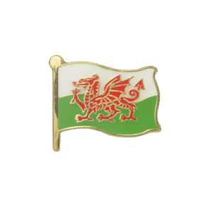 E767 Welsh Flag enamel badge (pack of 5)