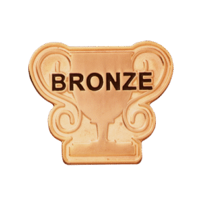E82 Bronze Trophy badge (pack of 5)