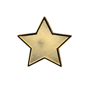 E93 Gold Star badge (pack of 5)