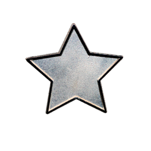 E94 Silver Star badge (pack of 5)