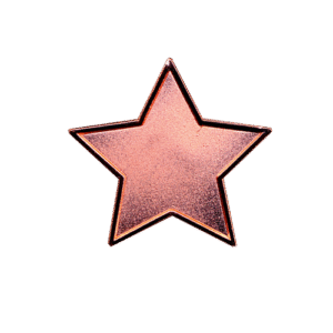 E95 Bronze Star badge (pack of 5)