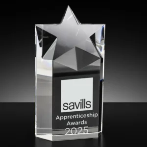 Chunky Column Star Crystal Award